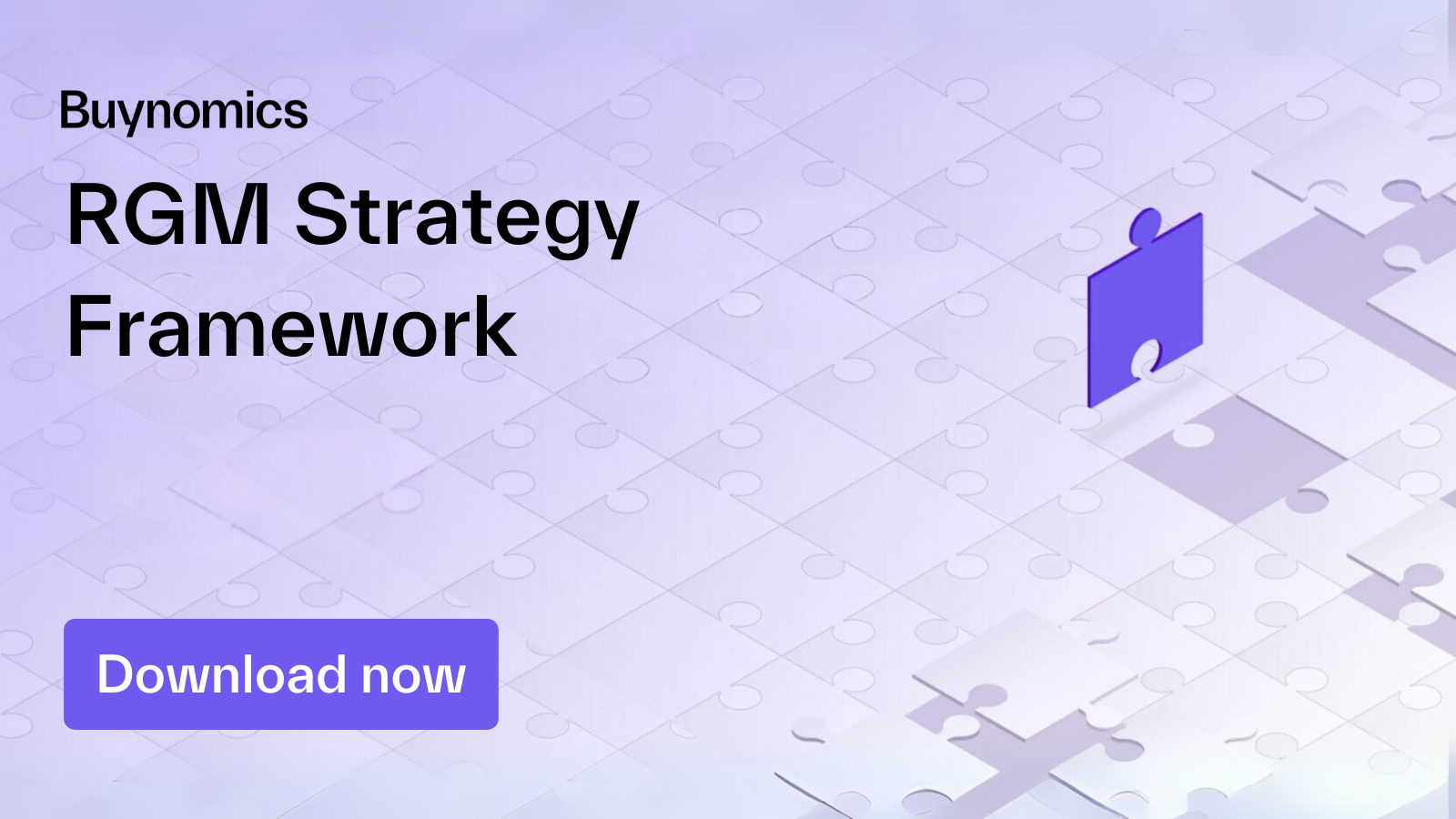 RGM Strategy Framework 16x9