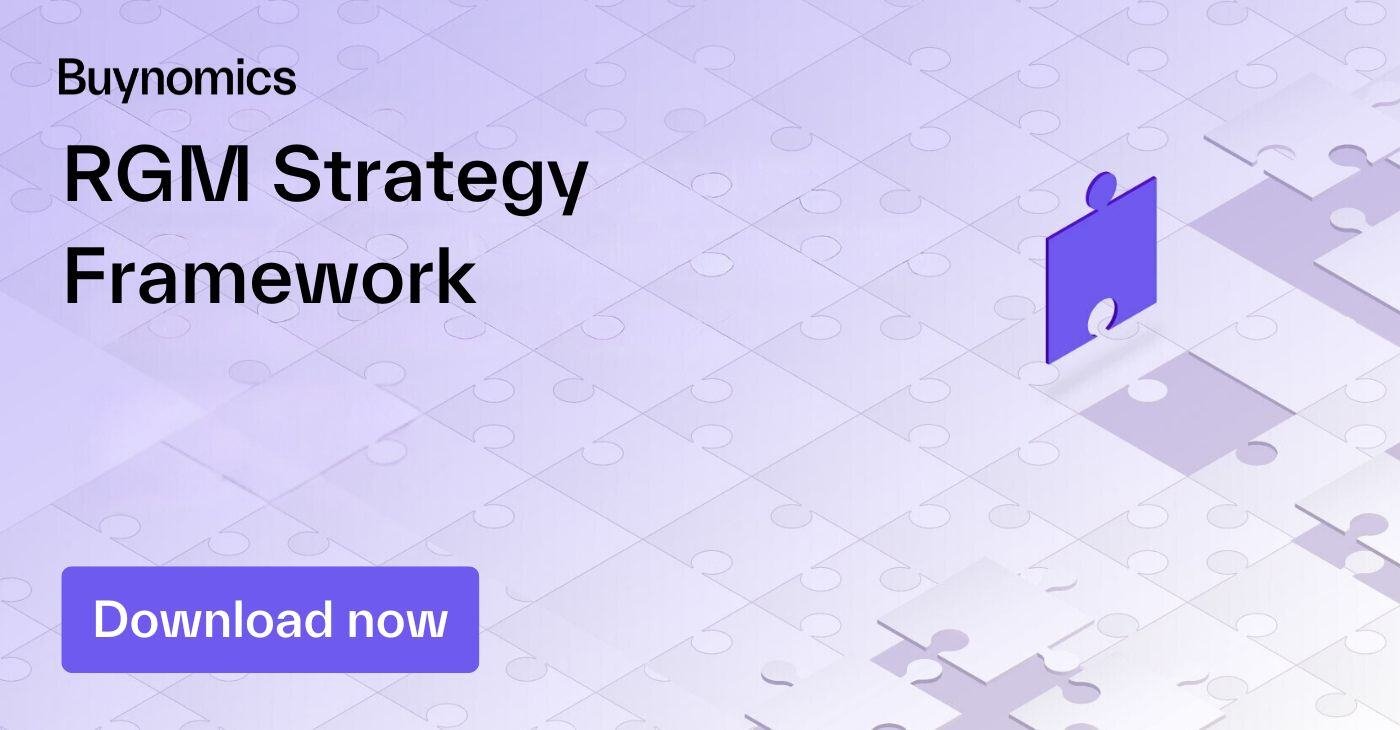 RGM Strategy Framework-1